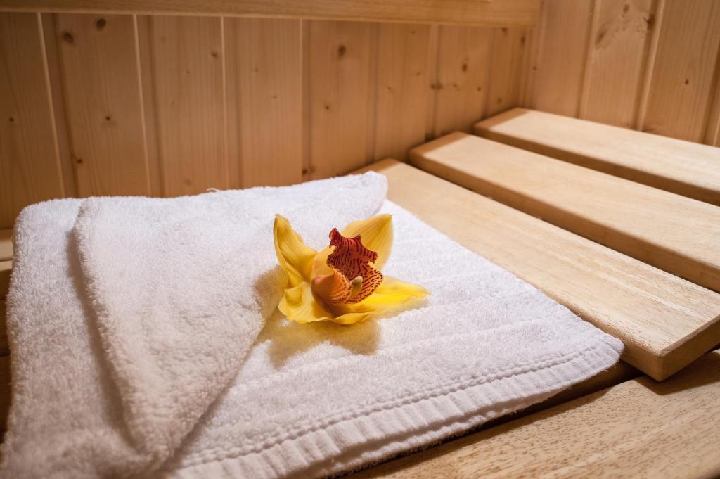 C Comfort Hotel & Wellness Хисаря Экстерьер фото